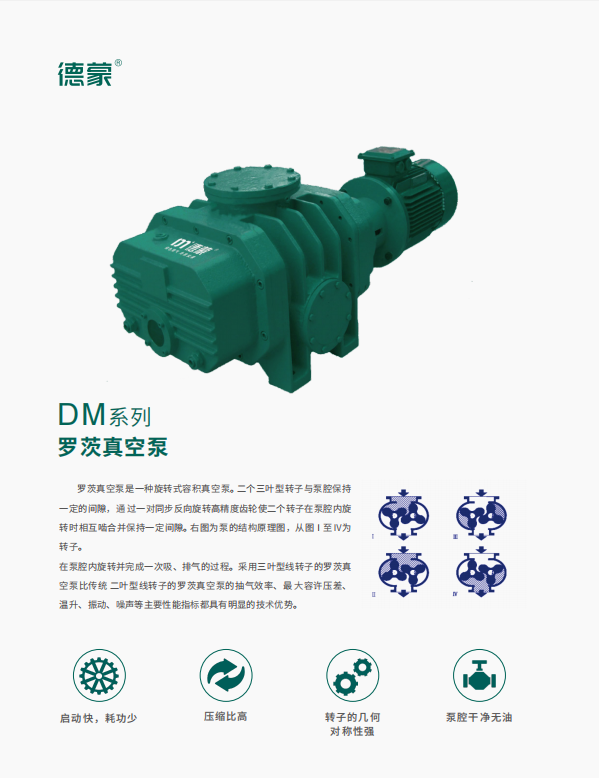 DM系列 罗茨真空泵(图1)