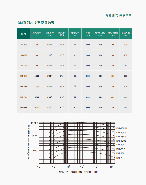 DM系列 罗茨真空泵(图2)
